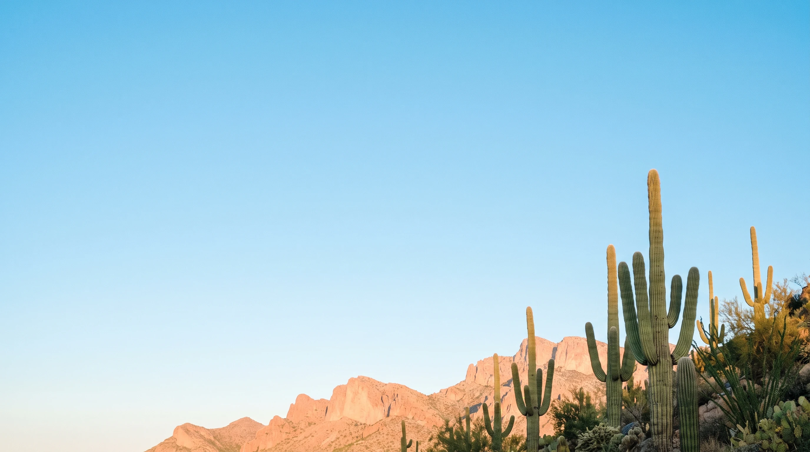 Sunrise across the Sonoran desert